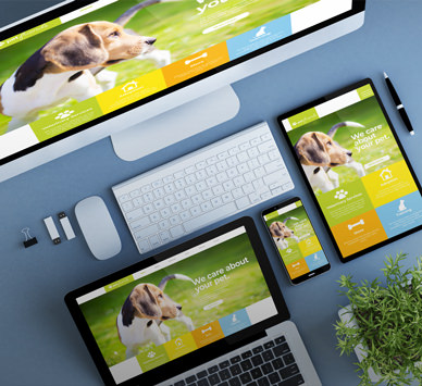 Pixecart is a creative marketplace that provides freelance WordPress, website and mobile app design and development services on demand. This image is showing a veterinary website and ecommerce store.